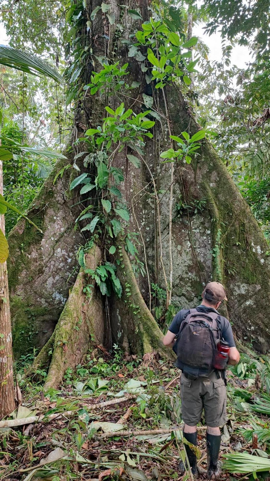 Hospedaje Y Tours Reina Arriera Amazonas Colombia Macedonia Luaran gambar