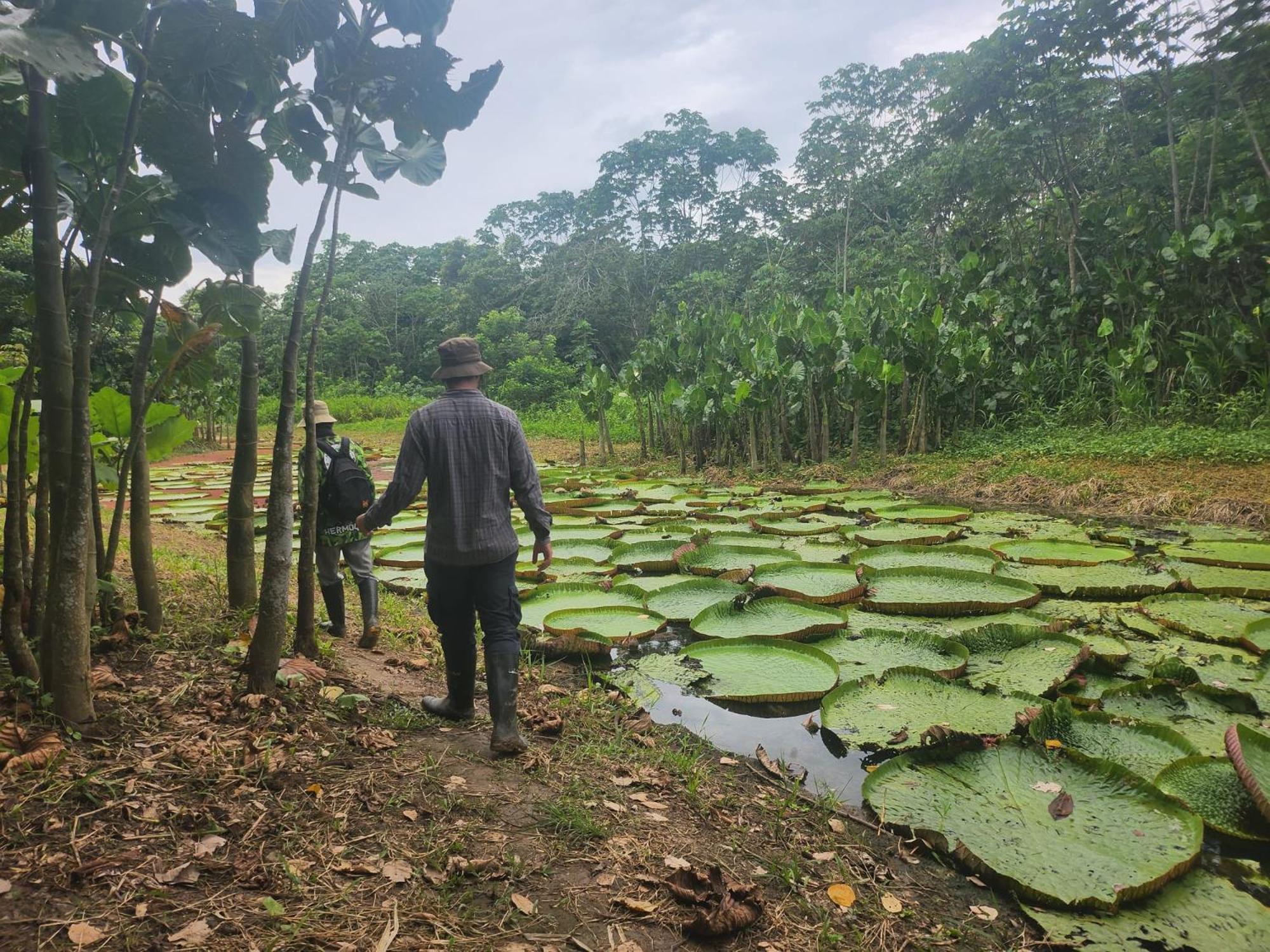 Hospedaje Y Tours Reina Arriera Amazonas Colombia Macedonia Luaran gambar