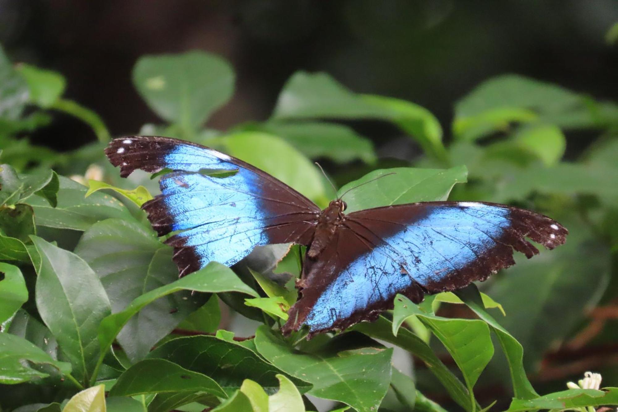 Hospedaje Y Tours Reina Arriera Amazonas Colombia Macedonia Luaran gambar