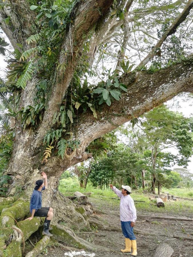 Hospedaje Y Tours Reina Arriera Amazonas Colombia Macedonia Luaran gambar